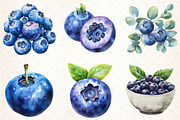Watercolor Blueberries Clipart, an Illustration by Libby Wishes (Thumbnail 11 of 11)