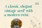 Dudga Baloval Elegant Serif Font, a Serif Font by timelesstype.co (Thumbnail 10 of 20)