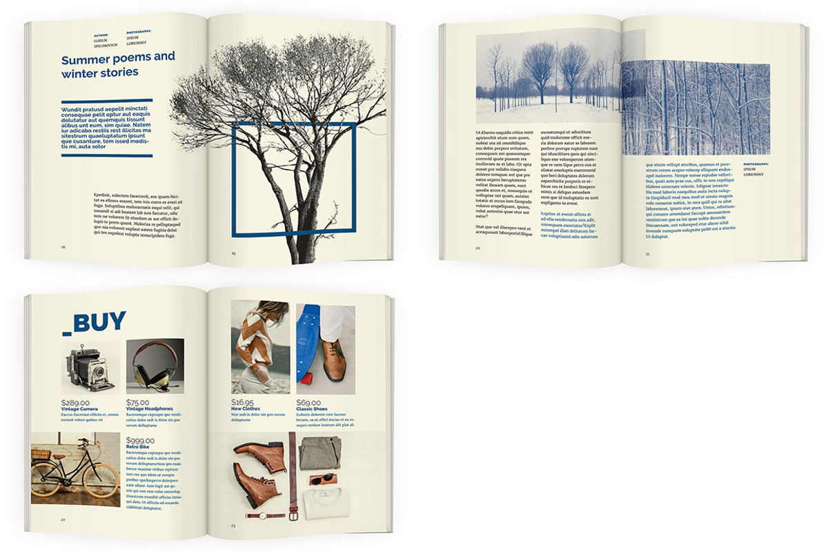 BlueFox - A5 mini magazine template, a Magazine Template by IndieStock (Photo 4 of 8)