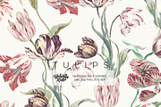 Vintage Tulips Wallpaper, a Wallpaper Graphic by Webvilla Studio (Thumbnail 1 of 4)
