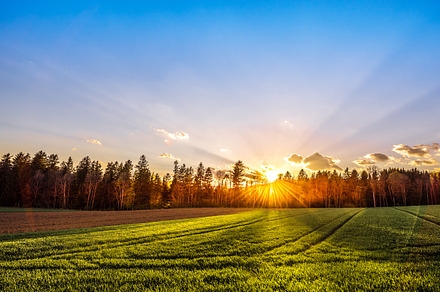 Sunrise at the country