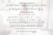 Bride | Script Font, a Handwritten Font by Scratchones (Thumbnail 7 of 9)