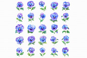 Watercolor Pansy Flowers Clipart, an Illustration by Libby Wishes (Thumbnail 5 of 7)