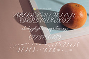 Melliovas - Modern Script Font, a Script Font by Dhabee (Thumbnail 4 of 15)
