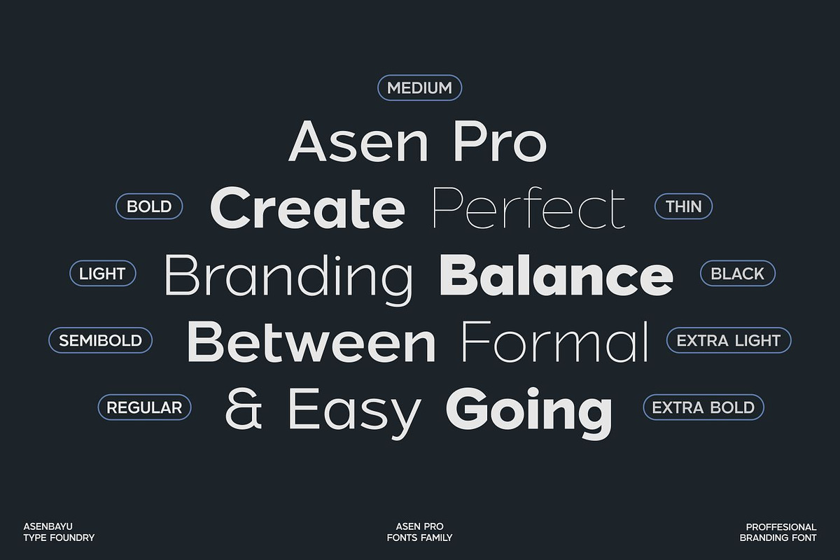 Asen Pro Fonts Family, a Sans Serif Font by Asenbayu (Photo 3 of 15)