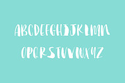 Brushy Mini font, a Handwritten Font by Molly Jacques (Thumbnail 3 of 3)