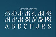 Elacontry - Modern Elegant Luxury, a Serif Font by Qweera Studio (Thumbnail 10 of 12)