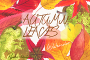 Autumn Leaves Watercolor Clip art, an Illustration by Eomoiart (Thumbnail 2 of 4)