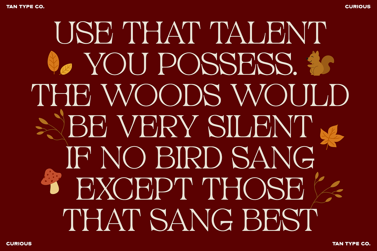 TAN - CURIOUS, a Serif Font by TanType (Photo 8 of 11)