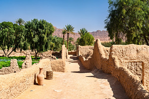 Traditional mud brick walls in the Daimumah Oasis AlUla
