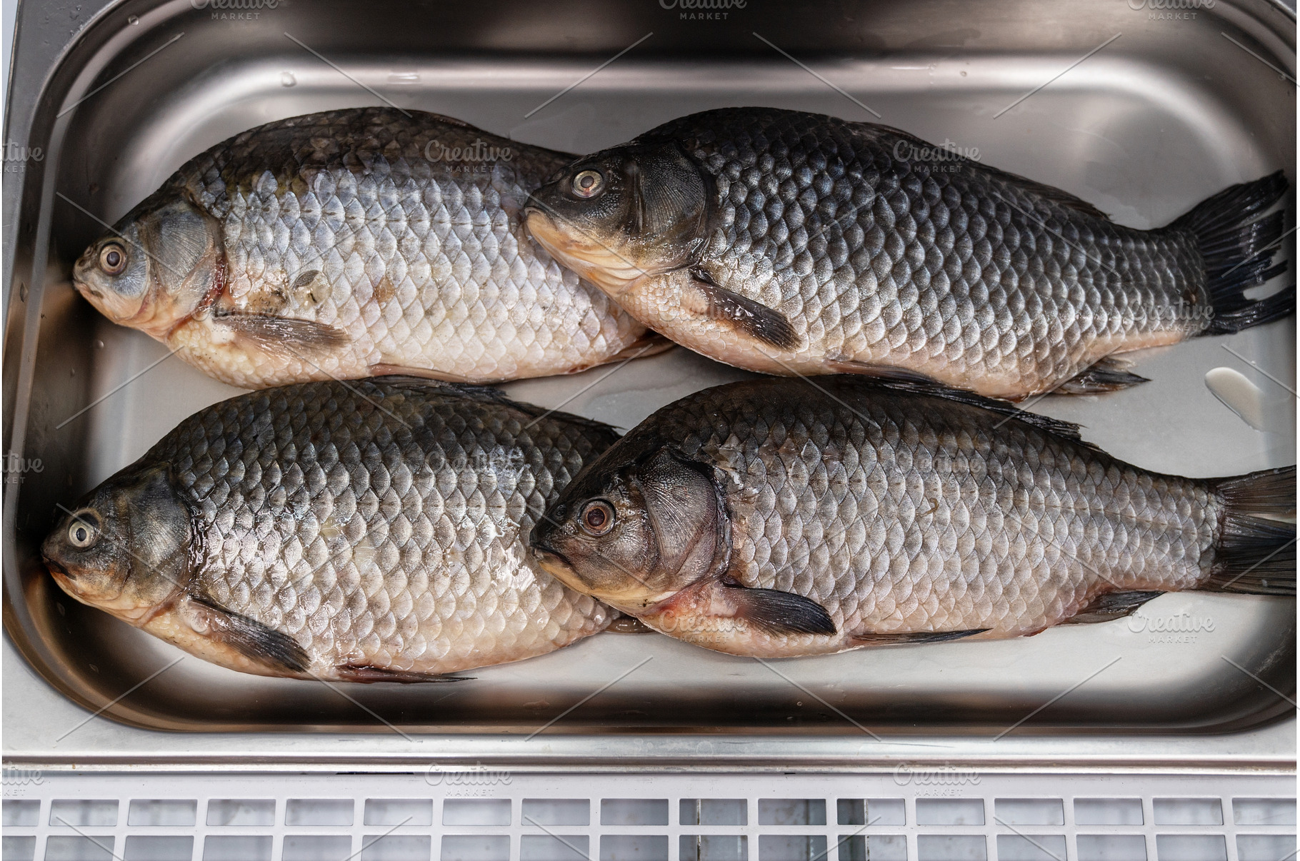 Fresh raw carp fish, a Food & Drink Photo by Jan Jack Russo Media