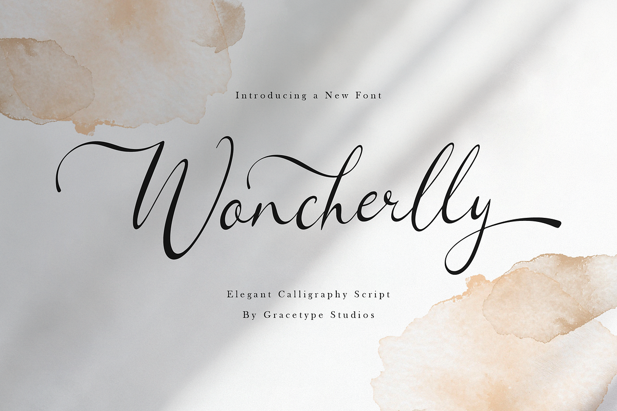 Woncherlly Elegant Calligraphy, a Script Font by gracetype_studio (Photo 1 of 12)