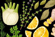 Spices and Herbs Bundle, a Food Illustration by GreyLilac (Thumbnail 5 of 6)
