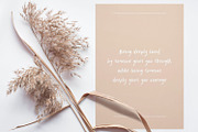 Naturale, a Font by Good Java Studio (Thumbnail 8 of 10)