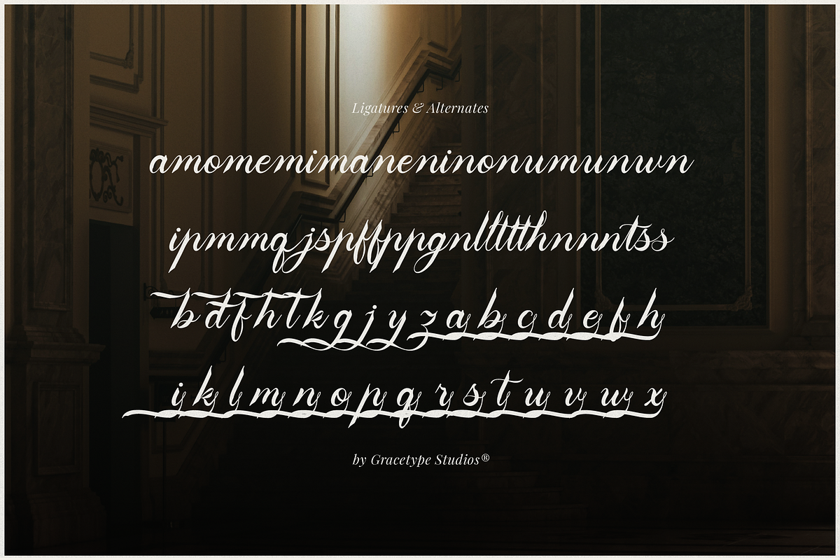 Aipshar | Elegant Script, a Script Font by gracetype_studio (Photo 12 of 12)
