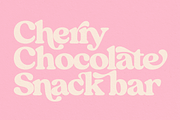 Whiskey Sour Retro Serif, a Serif Font by Fenotype (Thumbnail 5 of 14)
