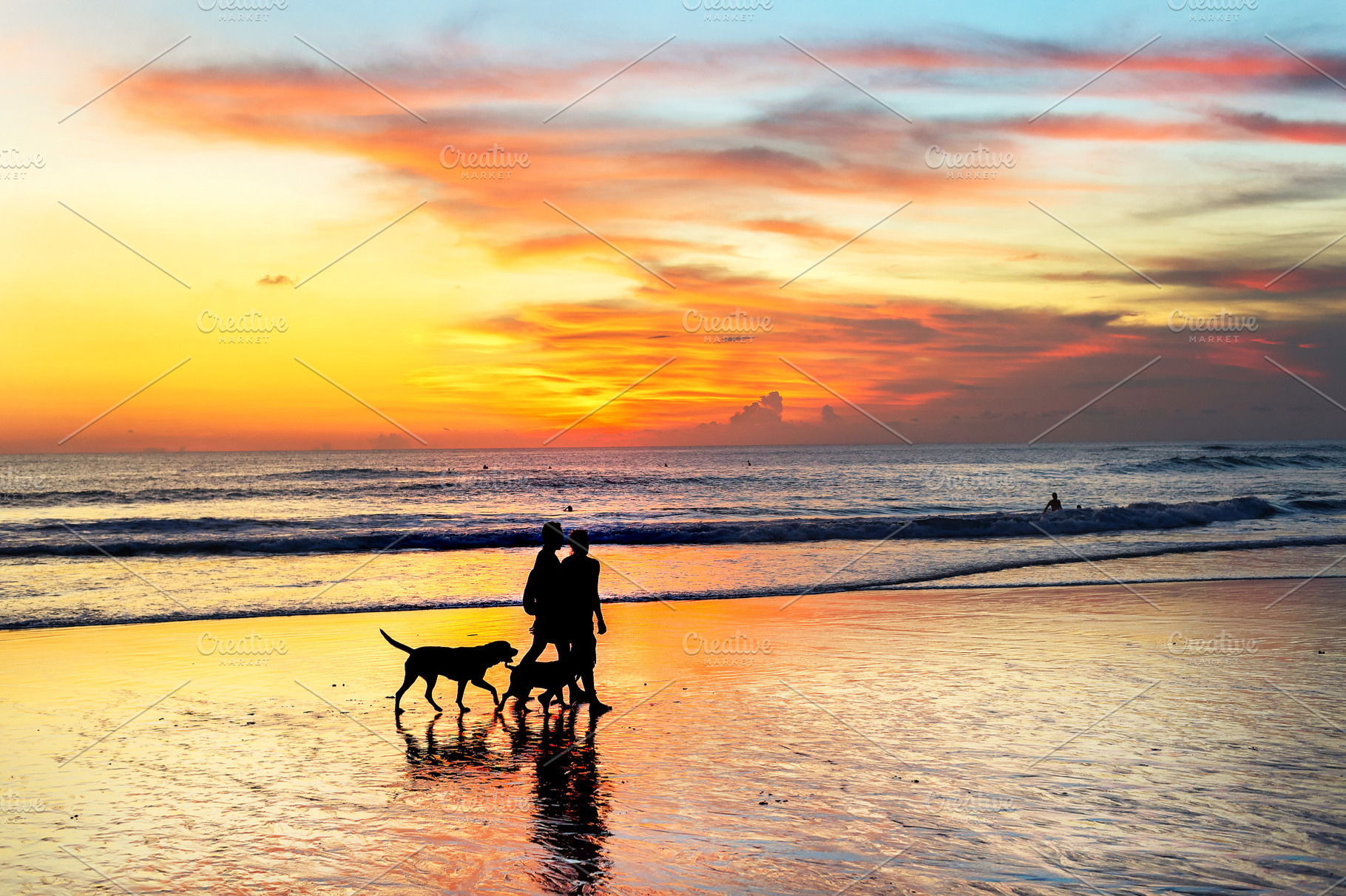 Couple walking dogs sunset bali containing dogs, sea, and pets, a Person Photo by joyt