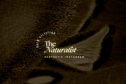 The Naturalist Social Media Bundle, a Social Media Template by The Flossy Finch (Thumbnail 2 of 22)