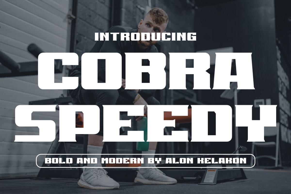 Cobra Speedy, a Serif Font by alon kelakon (Photo 1 of 6)