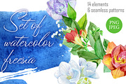 Freesia. Watercolor collection, a Decorative Illustration by Watercolor fantasy (Thumbnail 1 of 7)