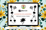 Procreate Brush Stamps - Celandine, a Brush Add-On by Gabba Delgado (Thumbnail 1 of 4)