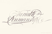 Bustra Script Pro, a Script Font by Alcode (Thumbnail 2 of 18)