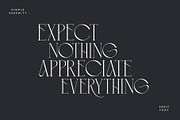 Simple Serenity Serif & Script, a Serif Font by Sam Parrett (Thumbnail 8 of 12)