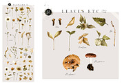 The Amazing Watercolor Bundle, an Object Illustration by Creativeqube Design (Thumbnail 36 of 75)