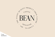 Casanova Elegant Serif Display, a Serif Font by Typetemp Studio (Thumbnail 12 of 30)
