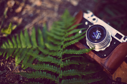 Vintage analog retro film camera in containing camera, retro, and vintage