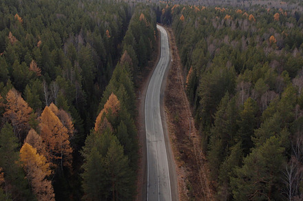 Road between autumn forest in Ural