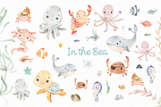 In The Sea. Watercolor Collection, an Animal Illustration by StarJam (Thumbnail 2 of 5)