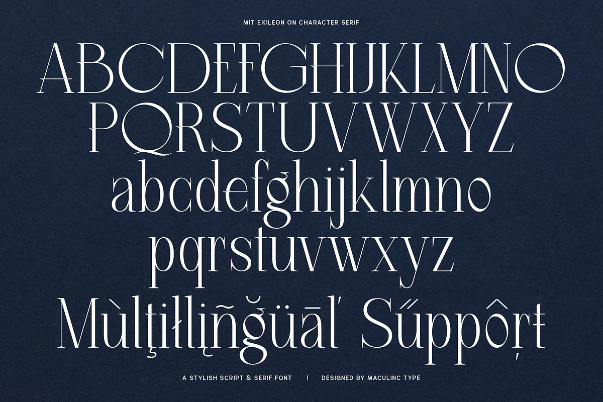 MIT Exileon - Script&Serif font duo, a Serif Font by Maculinc Type (Photo 15 of 16)