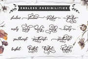 Biosha Font trio and extras, a Script Font by BlackCatsMedia (Thumbnail 5 of 10)