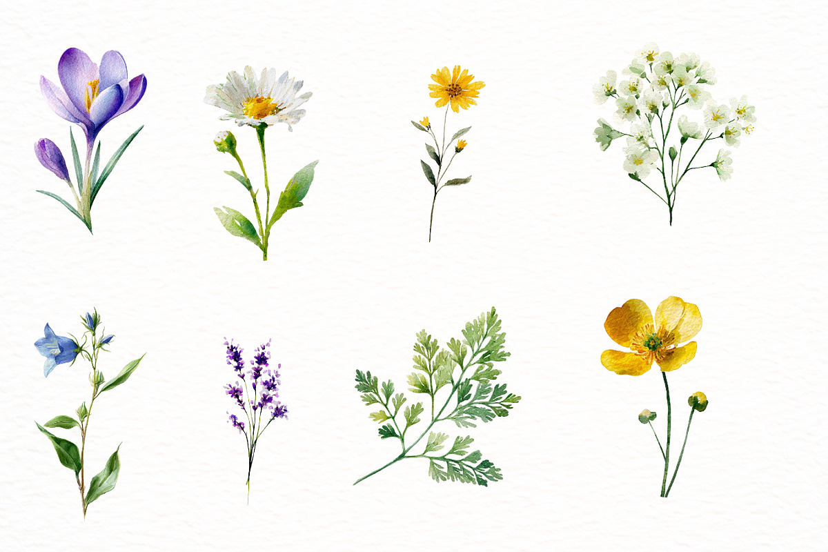 Watercolor Spring Flowers Clipart, an Illustration by Designworld (Photo 5 of 6)
