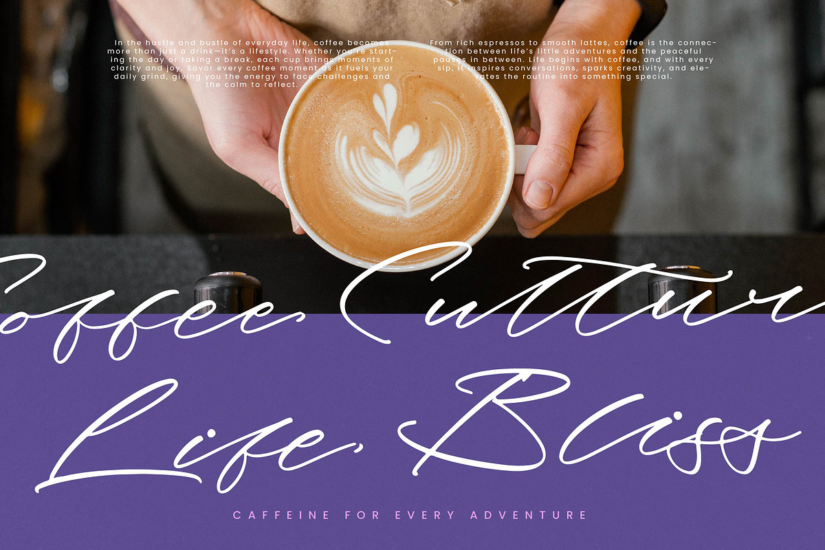 Paradox Horizon Modern Script Font, a Script Font by stylishtype.co (Photo 16 of 20)