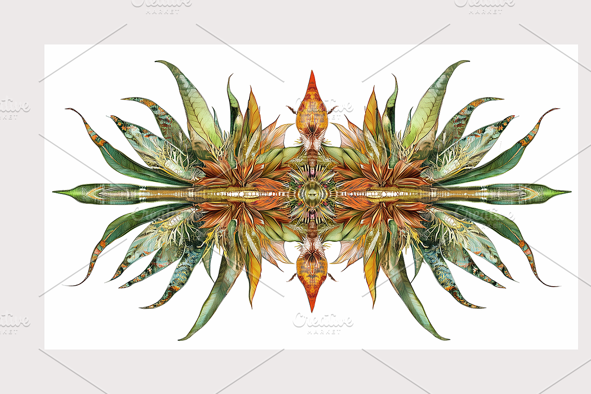 Muji Co · Symmetrical Botanics, a Decorative Illustration by milatovar (Photo 15 of 16)