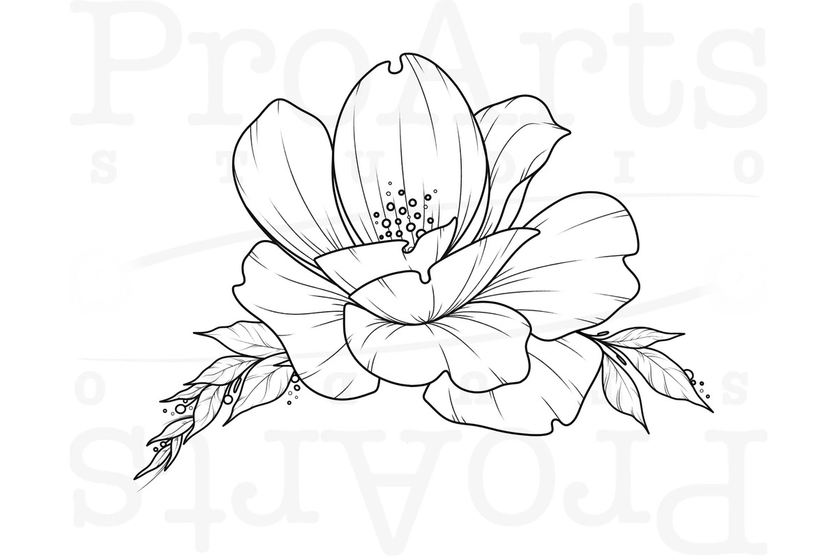 Peony Procreate Tattoo Brush Set, a Brush Add-On by Lucrumplus (Photo 5 of 10)
