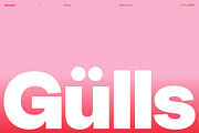Alecrim, a Sans Serif Font by Latinotype (Thumbnail 8 of 12)