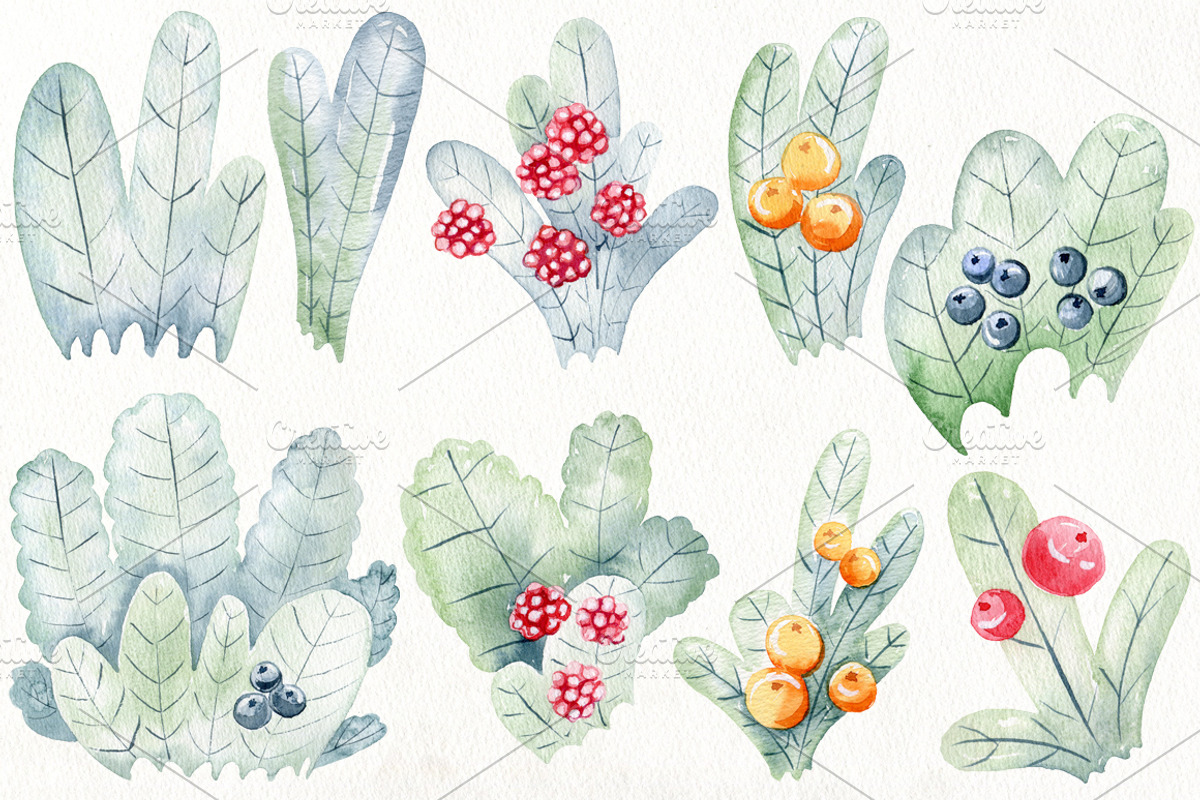 70% off. Bundle. Woodland animals., an Animal Illustration by TaPilipa (Photo 33 of 38)