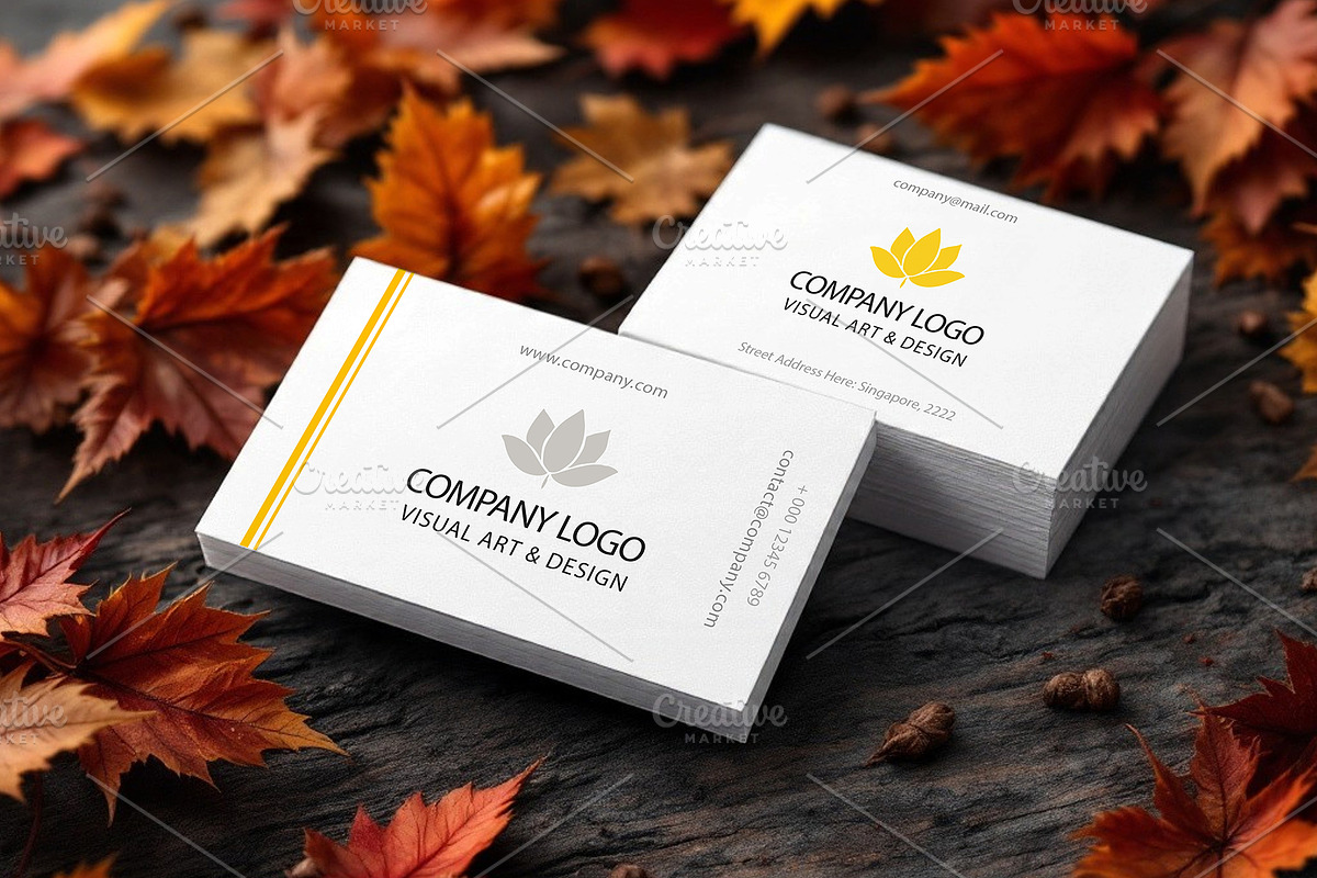BUNDLE - 6PSD MOCKUPS, BUSINESS CARD, an Advertising Mockup by Mockup Stories (Photo 3 of 7)