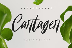 Cartager