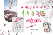 Cherry blossom watercolor clipart, an Illustration by Color Hugs Art (Thumbnail 2 of 8)