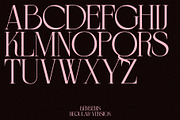 BERBERIS - Display Unique Serif, a Serif Font by Misha Sova (Thumbnail 7 of 14)