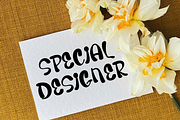 Dream Wedding, a Script Font by FreshTypeINK (Thumbnail 7 of 8)