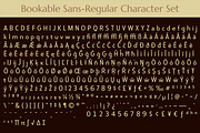 Bookable Sans Collection, a Sans Serif Font by Stiggy & Sands (Thumbnail 9 of 12)