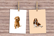 Dog breeds collection, an Animal Illustration by sheincar (Thumbnail 4 of 4)