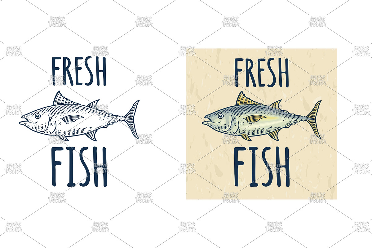Different types fish engraving, an Animal Illustration by MoreVector (Photo 2 of 3)