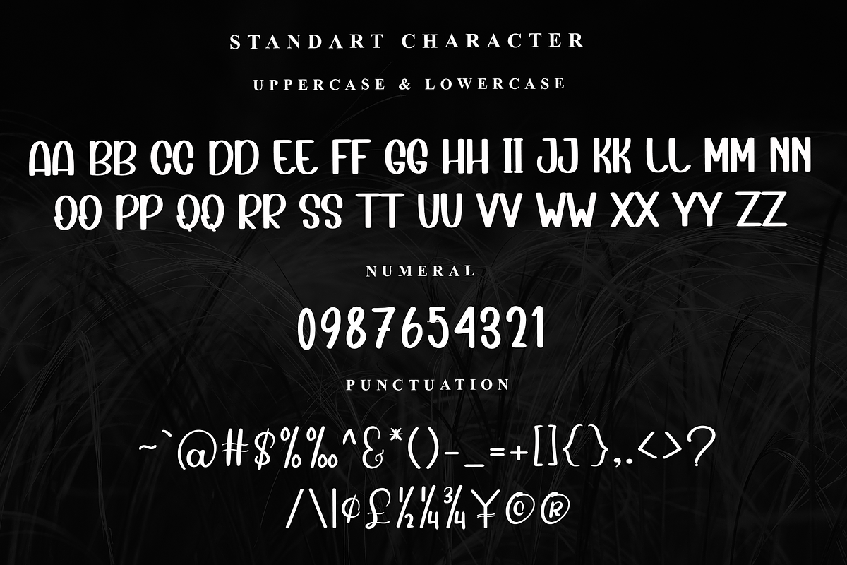 Bright Yellow, a Serif Font by InermediaSTUDIO (Photo 4 of 7)