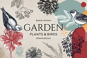 Autumn Flowers & Birds Vector Set, an Object Graphic by Yevheniia (Thumbnail 1 of 8)